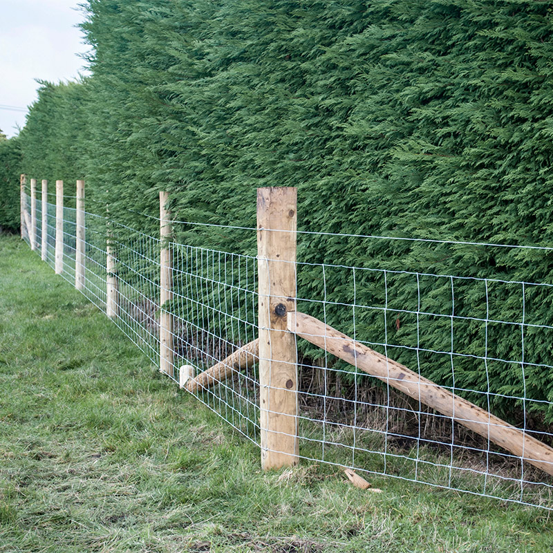 fencing wire - livestock